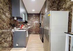 The Plaza (D7), Apartment #509772841
